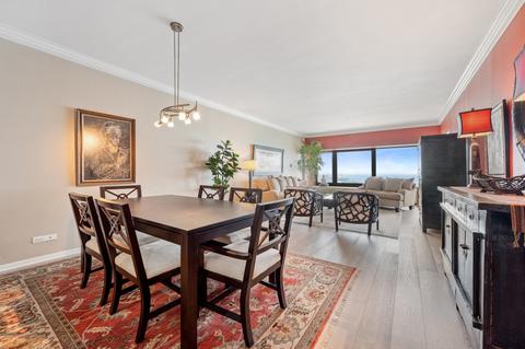 175 E Delaware Pl #4810, Chicago, IL 60611 photo 6