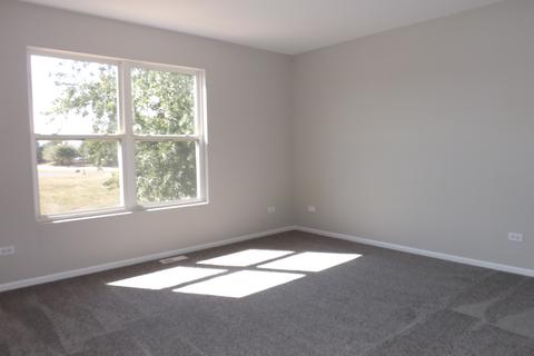 2209 Covington Ln, Plainfield, IL 60586 photo 26