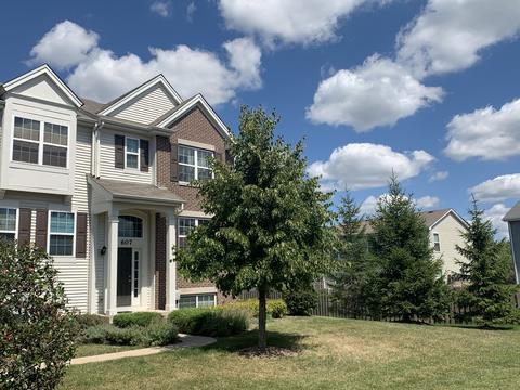 607 Treble Ln, Volo, IL 60073 photo 1