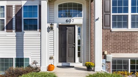 607 Treble Ln, Volo, IL 60073 photo 2
