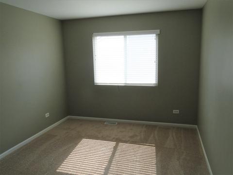 1702 Cascade Ridge Dr, Plainfield, IL 60586 photo 24
