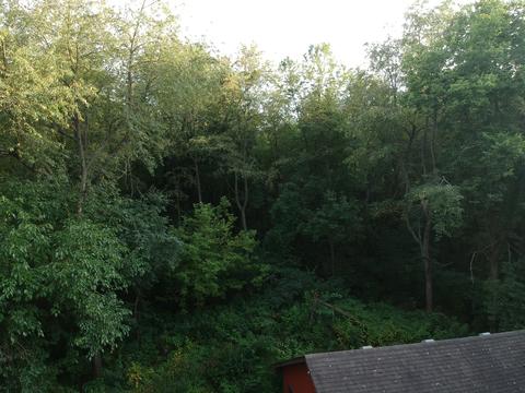 143 Schmidt Ln, Braidwood, IL 60408 photo 34