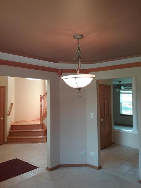 233 Aspen Dr, Beecher, IL 60401 photo 7