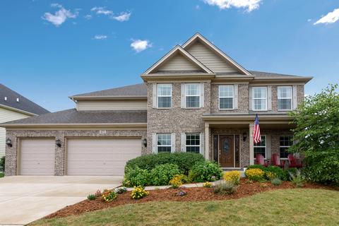 671 Slate Run, Elgin, IL 60124 photo 1