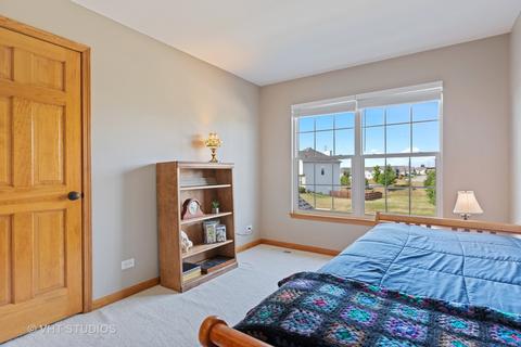 16603 Arbor Ct, Plainfield, IL 60586 photo 18