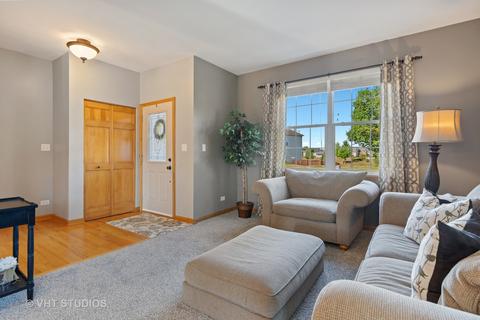 16603 Arbor Ct, Plainfield, IL 60586 photo 11