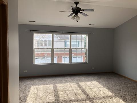 24111 Walnut Cir, Plainfield, IL 60585 photo 11