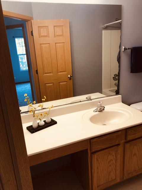 24111 Walnut Cir, Plainfield, IL 60585 photo 19