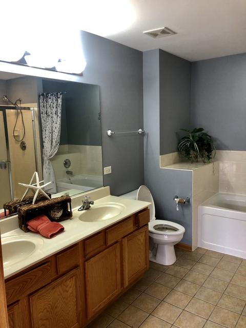 24111 Walnut Cir, Plainfield, IL 60585 photo 14