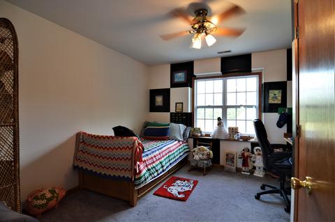 16971 Hare Rd, Minooka, IL 60447 photo 26