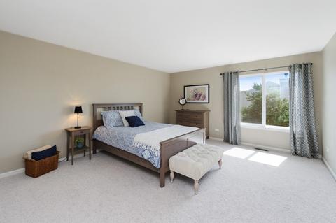 9105 Daniel Ln, Spring Grove, IL 60081 photo 21
