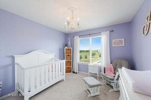 9105 Daniel Ln, Spring Grove, IL 60081 photo 18
