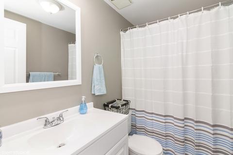 24029 W Pheasant Chase Dr, Plainfield, IL 60544 photo 10