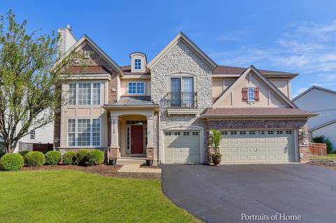 26118 Mapleview Dr, Plainfield, IL 60585 photo 3