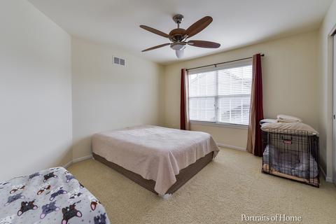 26118 Mapleview Dr, Plainfield, IL 60585 photo 28