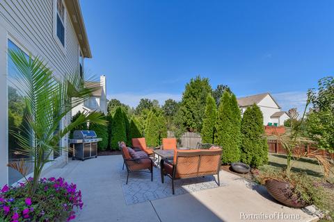 26118 Mapleview Dr, Plainfield, IL 60585 photo 33
