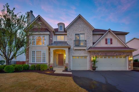 26118 Mapleview Dr, Plainfield, IL 60585 photo 4