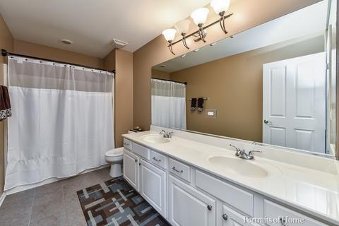 26118 Mapleview Dr, Plainfield, IL 60585 photo 29