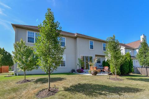 26118 Mapleview Dr, Plainfield, IL 60585 photo 37
