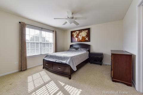 26118 Mapleview Dr, Plainfield, IL 60585 photo 27