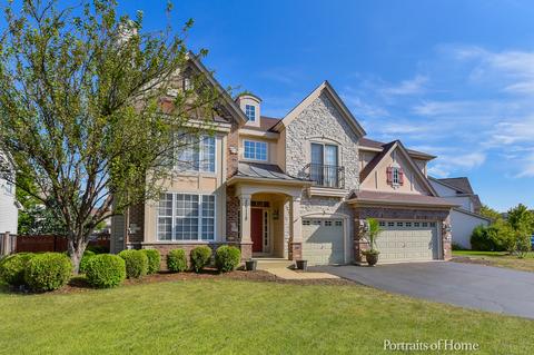 26118 Mapleview Dr, Plainfield, IL 60585 photo 1