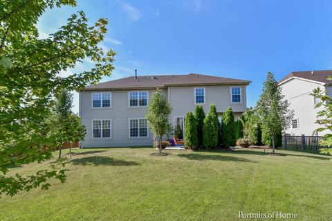 26118 Mapleview Dr, Plainfield, IL 60585 photo 35