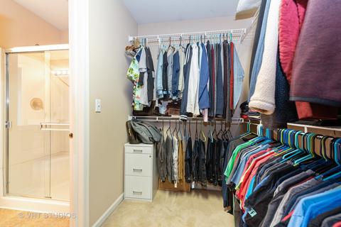 11 Pine Grove Ct, Algonquin, IL 60102 photo 13