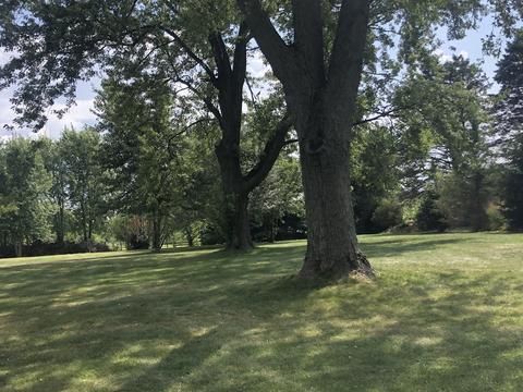20009 Mcguire Rd, Harvard, IL 60033 photo 24