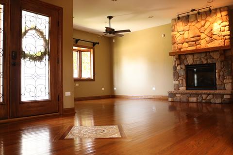 7795 S 78th Ct, Bridgeview, IL 60455 photo 9