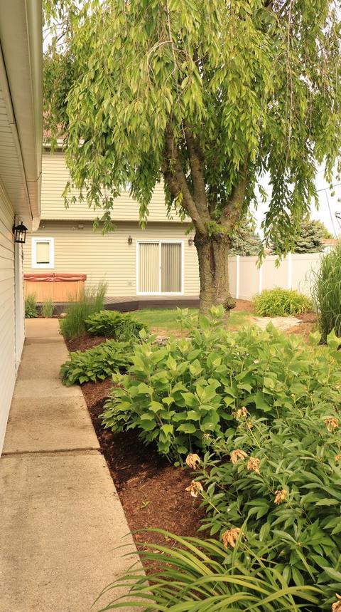 7795 S 78th Ct, Bridgeview, IL 60455 photo 7