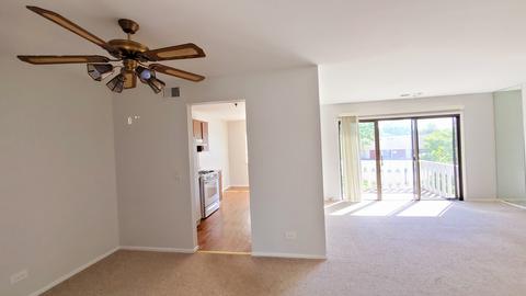 573 Greystone Ln #D2, Wheeling, IL 60090 photo 6