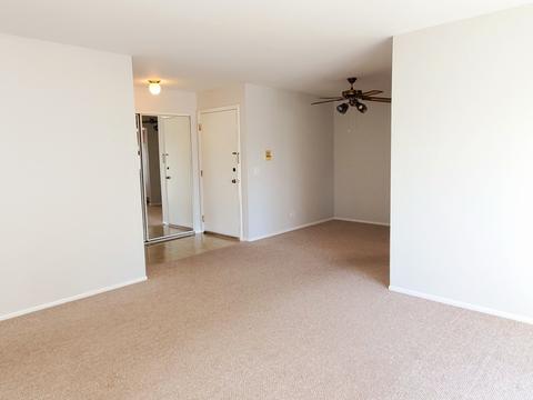 573 Greystone Ln #D2, Wheeling, IL 60090 photo 5