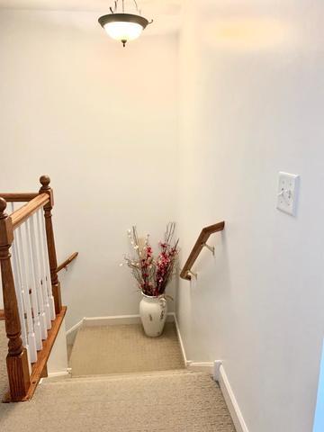 370 S Prospect Ave, Bartlett, IL 60103 photo 24