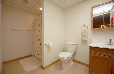 2540 E Girot Ln E, Diamond, IL 60416 photo 24