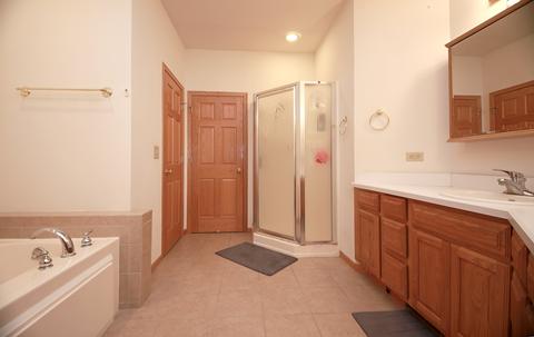 2540 E Girot Ln E, Diamond, IL 60416 photo 15