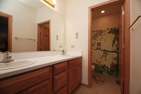 2540 E Girot Ln E, Diamond, IL 60416 photo 19