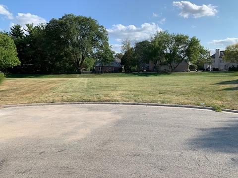 1219 Tranquility Ct, Naperville, IL 60540 photo 1