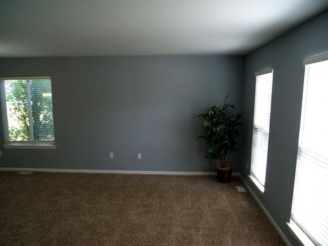 21138 W Covington Dr, Plainfield, IL 60544 photo 19