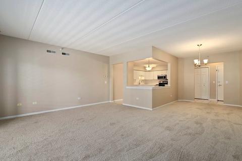 650 S River Rd #404, Des Plaines, IL 60016 photo 9