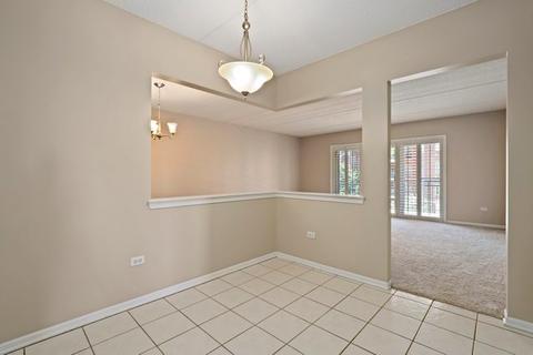 650 S River Rd #404, Des Plaines, IL 60016 photo 18