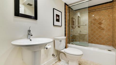 38 E Schiller St, Chicago, IL 60610 photo 28