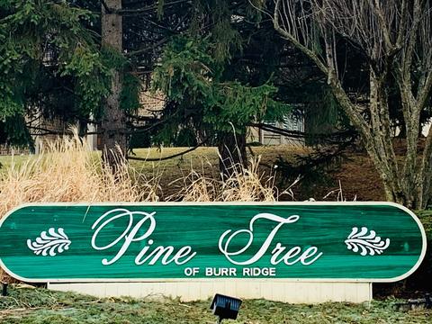 63 Pine Tree Ln, Burr Ridge, IL 60527 photo 2
