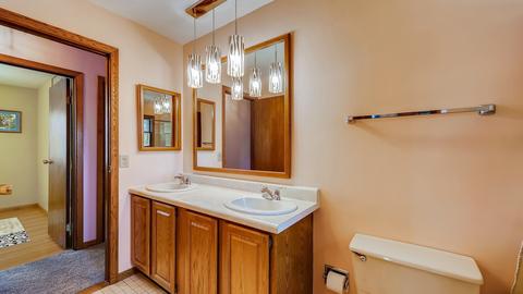 945 Sycamore Ct, Hoffman Estates, IL 60192 photo 12
