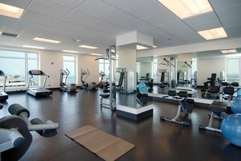 10 E Delaware Pl #31D, Chicago, IL 60611 photo 30