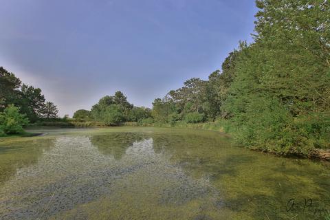 9902 Forest Ln, Union, IL 60180 photo 34