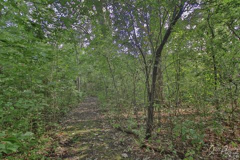 9902 Forest Ln, Union, IL 60180 photo 33
