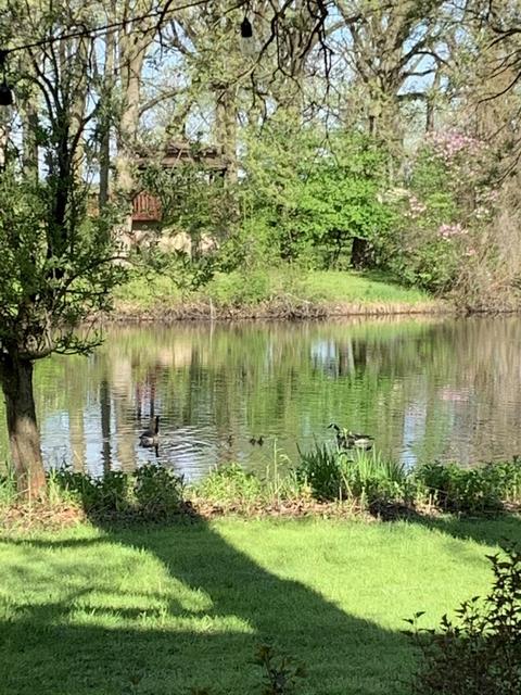 9902 Forest Ln, Union, IL 60180 photo 5