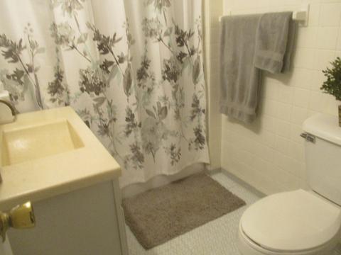 210 E Mckinley St, Philo, IL 61864 photo 11