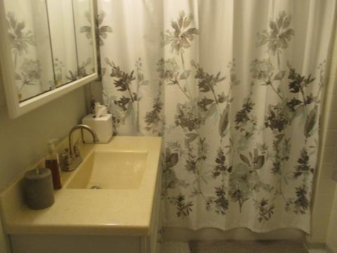 210 E Mckinley St, Philo, IL 61864 photo 10