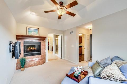 106 Mitchell Cir, Wheaton, IL 60189 photo 41